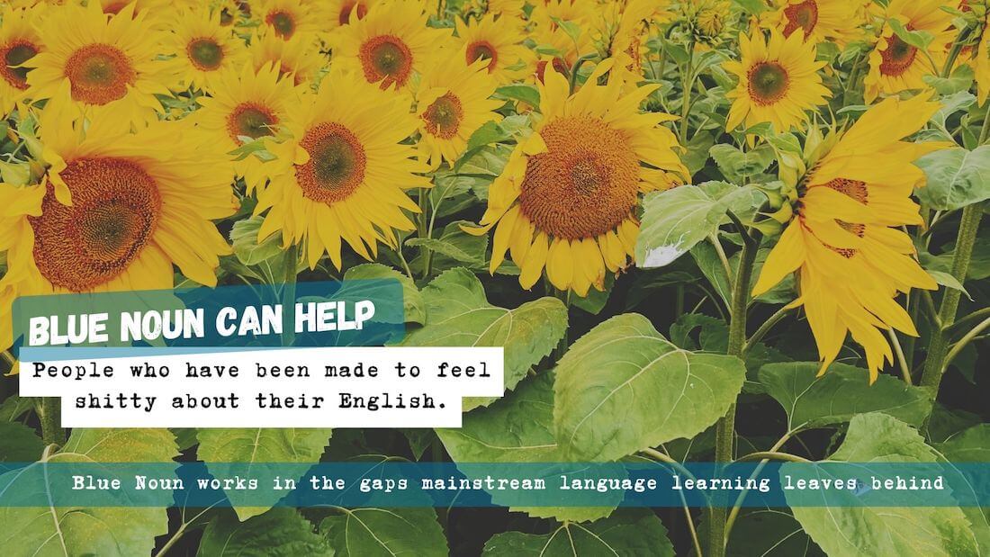 made-to-feel-bad-about-english-blue-noun Close-up of sunflowers with Blue Noun text for people who have been made to feel bad about their English.