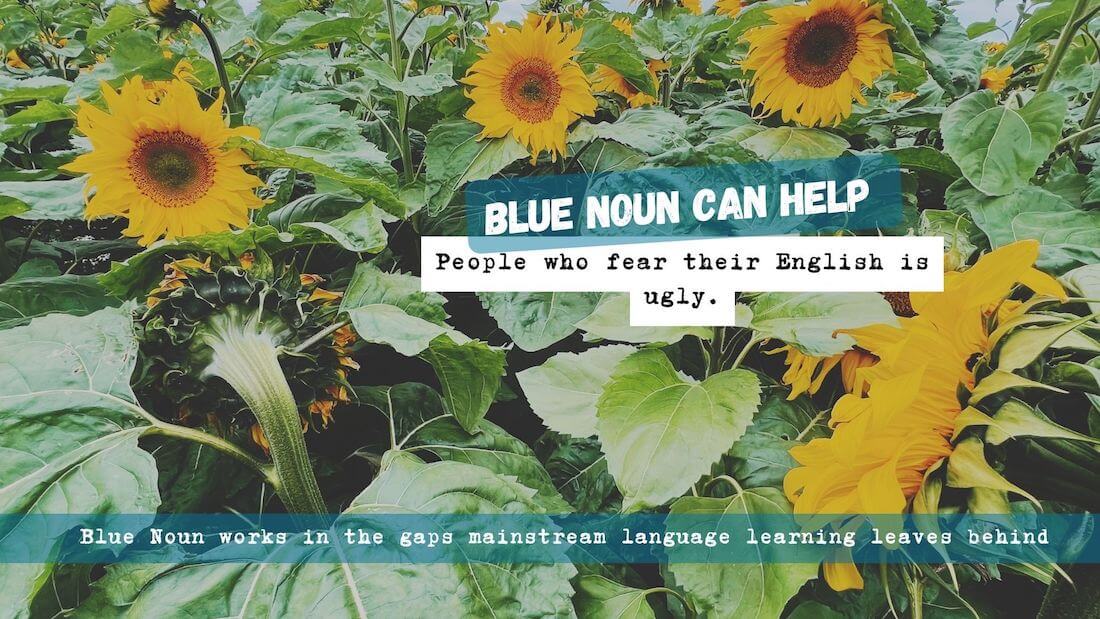 Sunflowers at different stages of growth with the words: “Blue Noun can help people who worry their English is ugly.”
