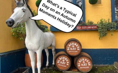 What’s a Typical Day on an Experience English Autumn Moments Holiday?