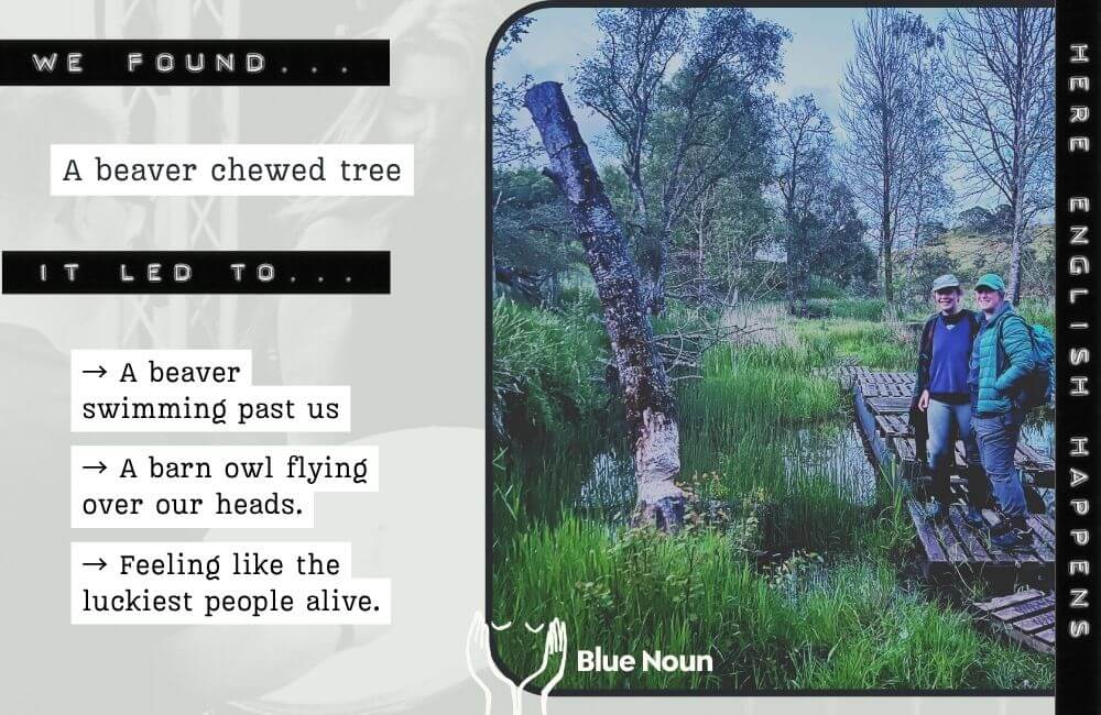 Two people beside a beaver-chewed tree in a Scottish wetland, where they also spotted a swimming beaver and a barn owl during a Blue Noun English holiday.