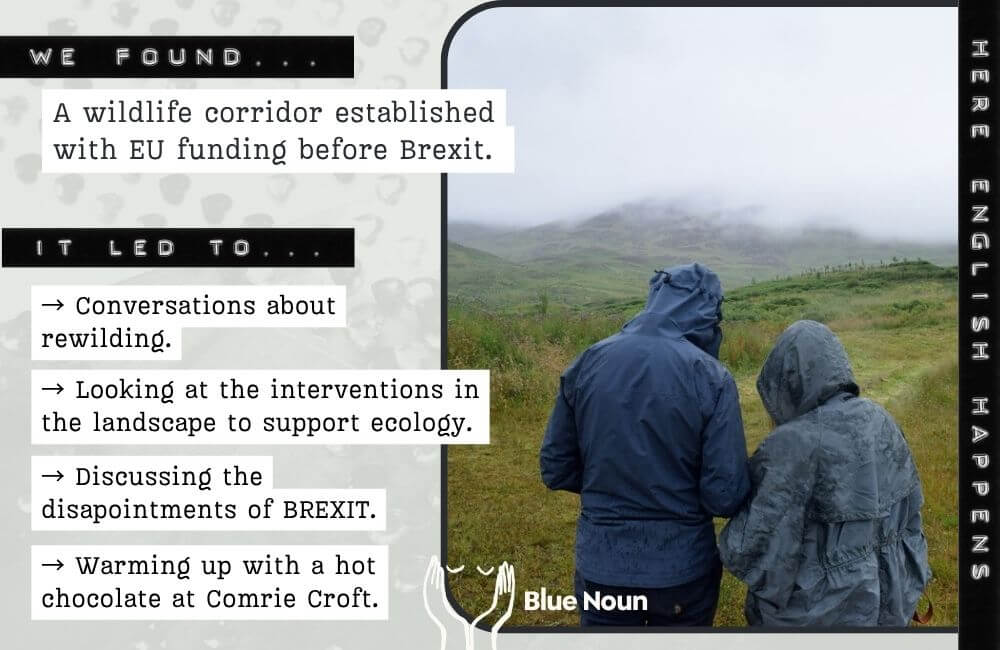 Couple walking together through a misty Perthshire landscape while exploring a wildlife preservation area on a Blue Noun English language holiday.
