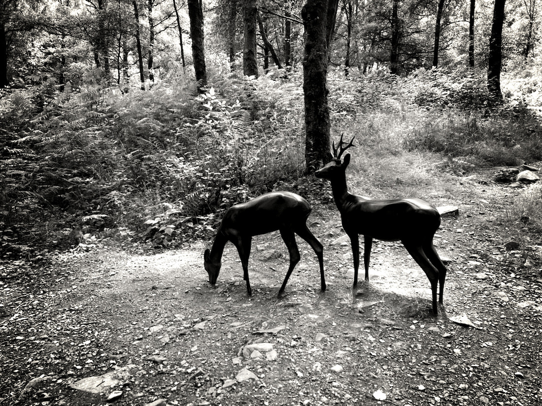 Deer sculpture seen during a visit to Loch Lomond and The Trossachs National Park in Scotland.