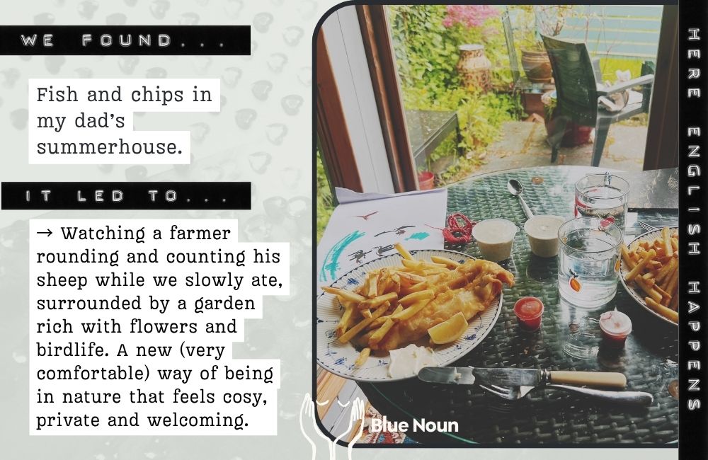Fish and chips shared in a garden summerhouse in Scotland, looking out onto flowers, wildlife and neighbouring farmland during a Blue Noun English language holiday.