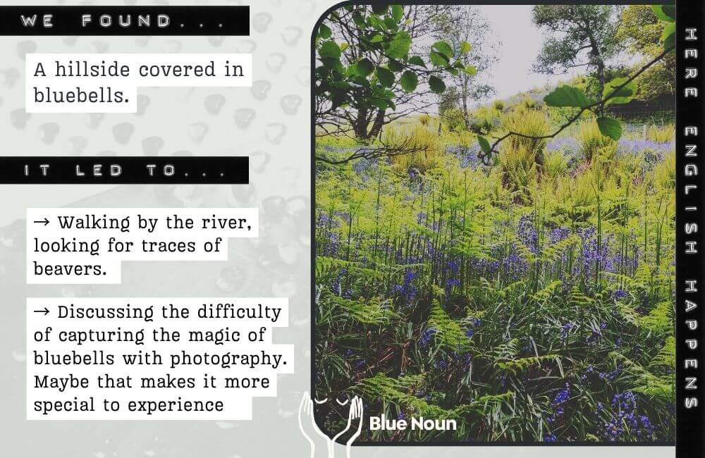 A Scottish hillside covered in bluebells and ferns, discovered while walking beside a river and looking for signs of beavers on a Blue Noun English holiday.