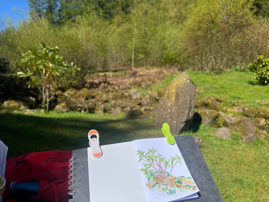 sketching at Dollar Japanese Gardens