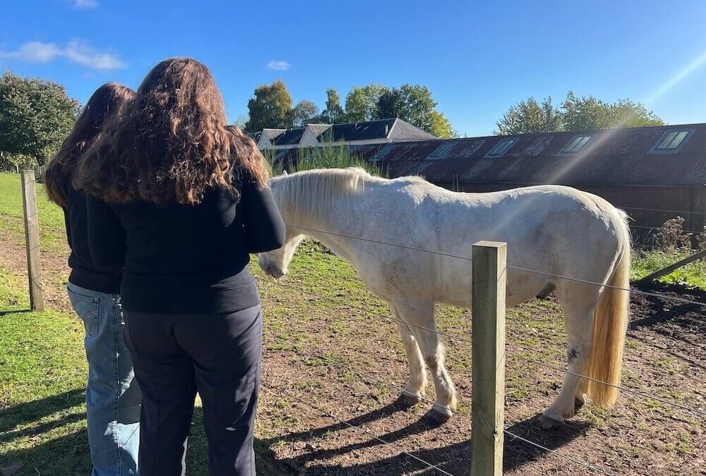 Blue Noun family holiday guests spending time with a horse in Crieff, Perthshire.