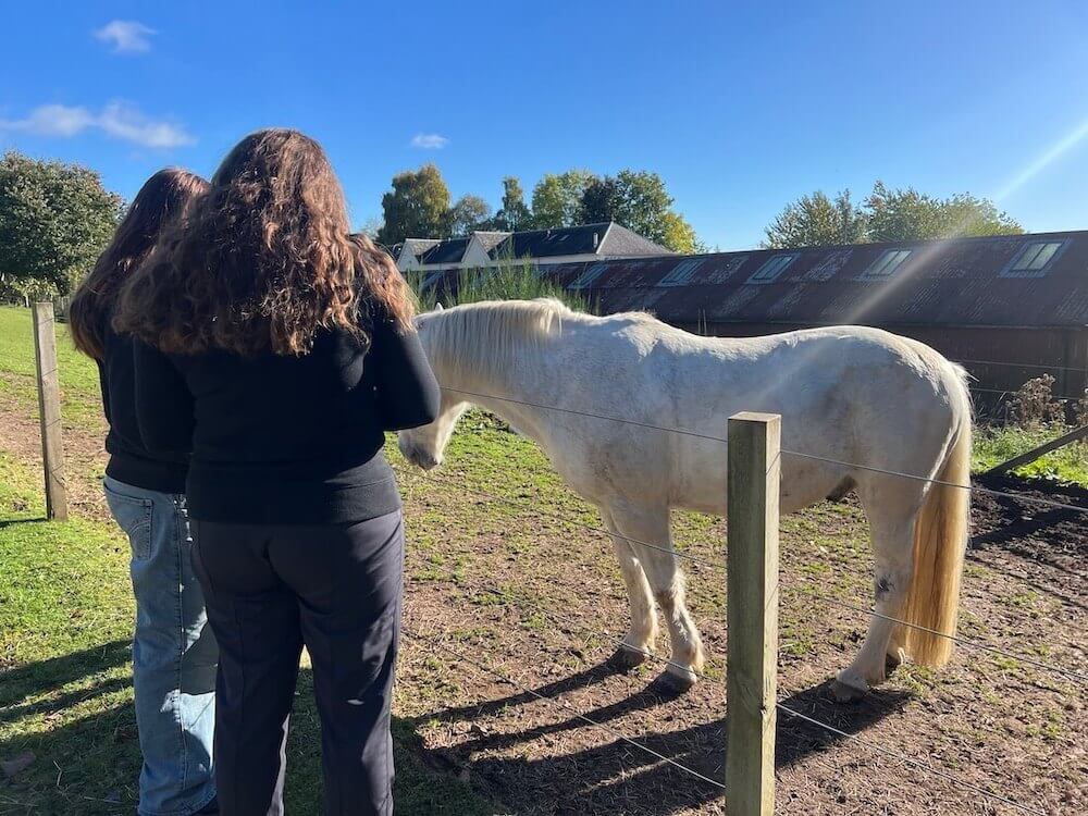 Blue Noun family holiday guests spending time with a horse in Crieff, Perthshire.