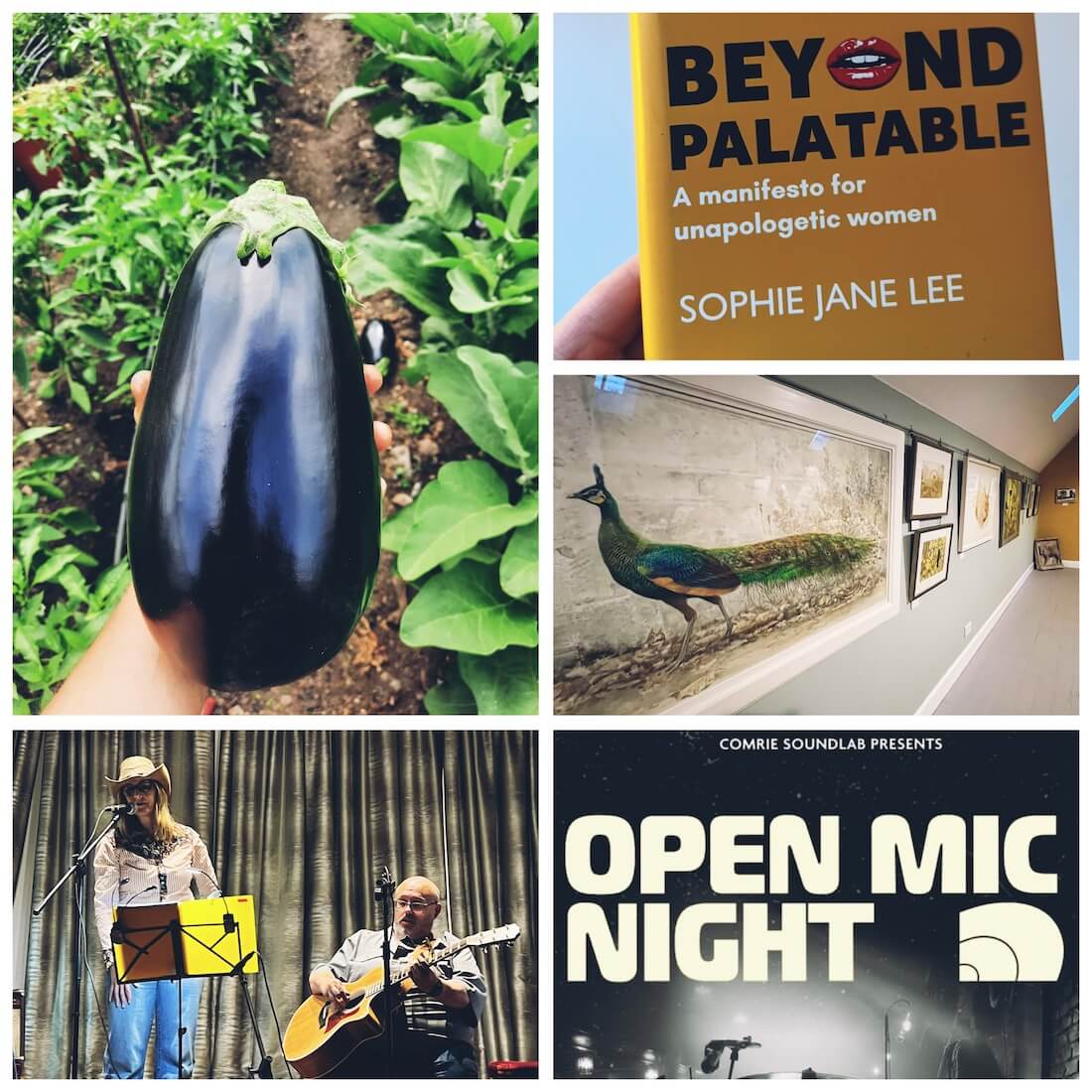 A collage of local Scottish experiences during an English holiday, including growing food, books, art and a community open mic night.