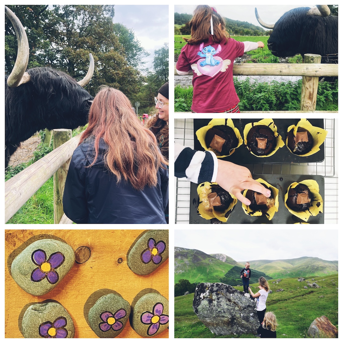Family English language holiday in Scotland with children meeting Highland cattle, baking, making crafts and exploring the Perthshire countryside.
