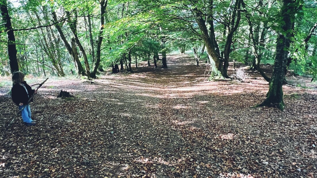 Child exploring a Perthshire woodland during a family English language holiday in Scotland.