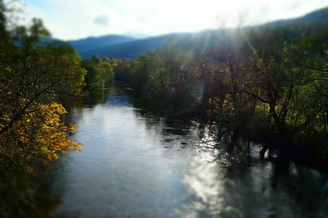 Autumn sunshine over a tree-lined river in Perthshire during a family English language holiday in Scotland.
